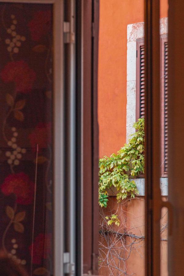 Trasteverehome - Paglia House Of 17Century In Trastevere ローマ エクステリア 写真